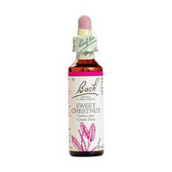 Bach (30) Sweet Chestnut 20Ml