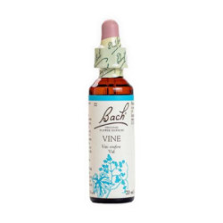 Bach (32) Vine 20Ml