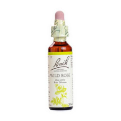 Bach (37) Wild Rose 20Ml